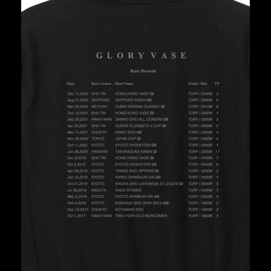 グローリーヴェイズ パーカー Lサイズ