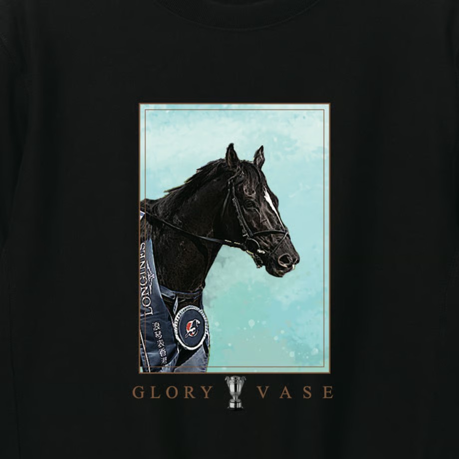 グローリーヴェイズ スウェット Lサイズ