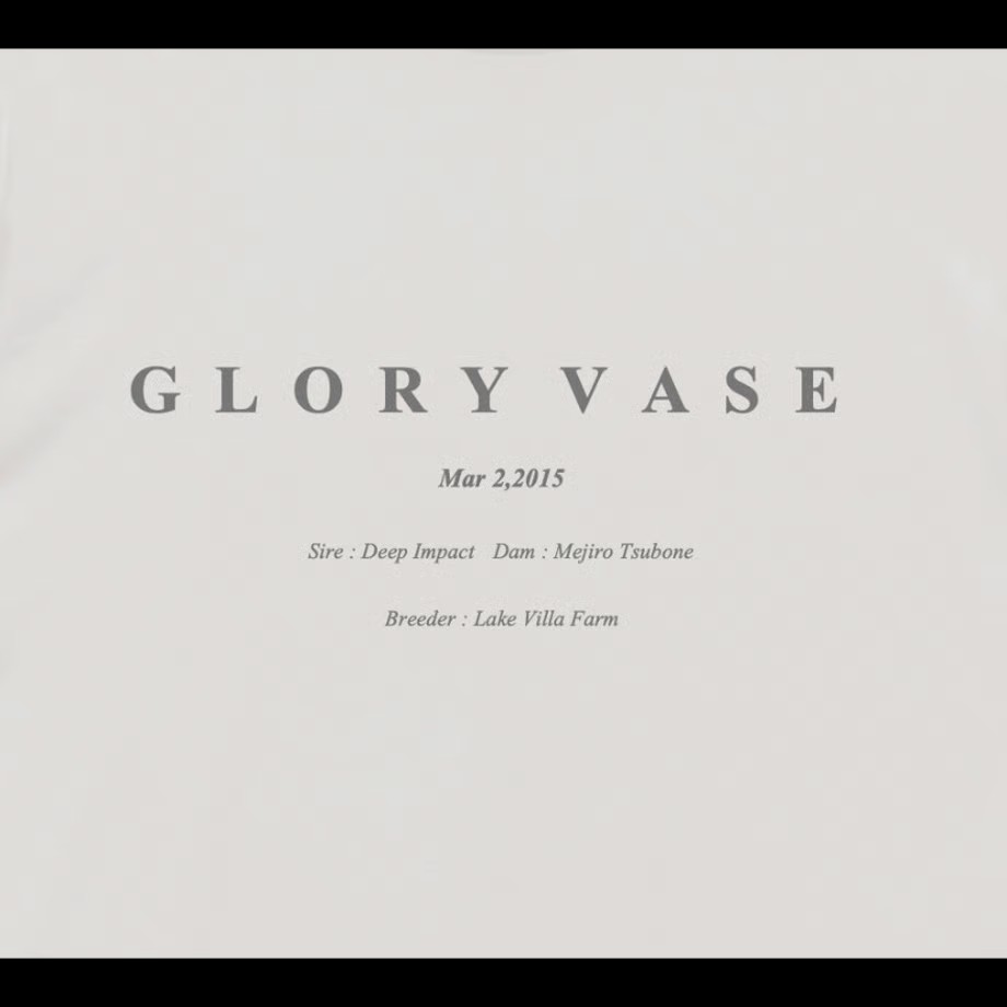 グローリーヴェイズ TシャツB 白 Lサイズ