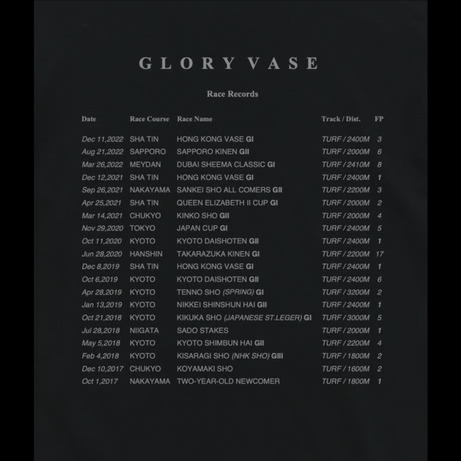 グローリーヴェイズ TシャツB 黒 Mサイズ