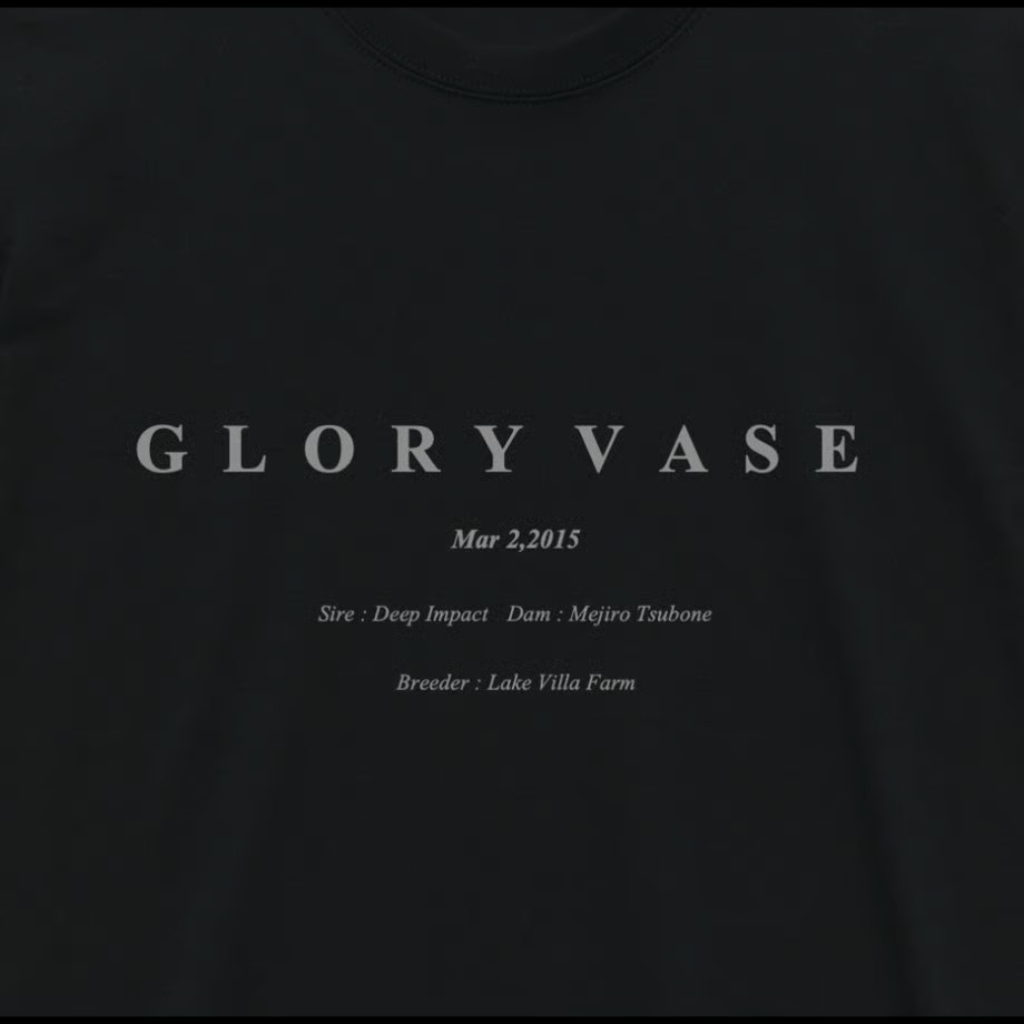 グローリーヴェイズ TシャツB 黒 XLサイズ