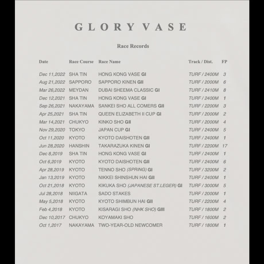 グローリーヴェイズ TシャツB 白 Sサイズ