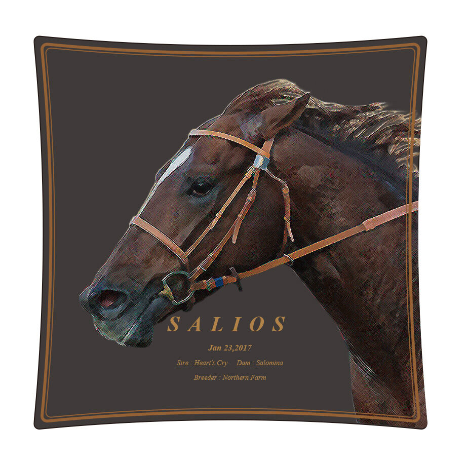 サリオス ミニクッション