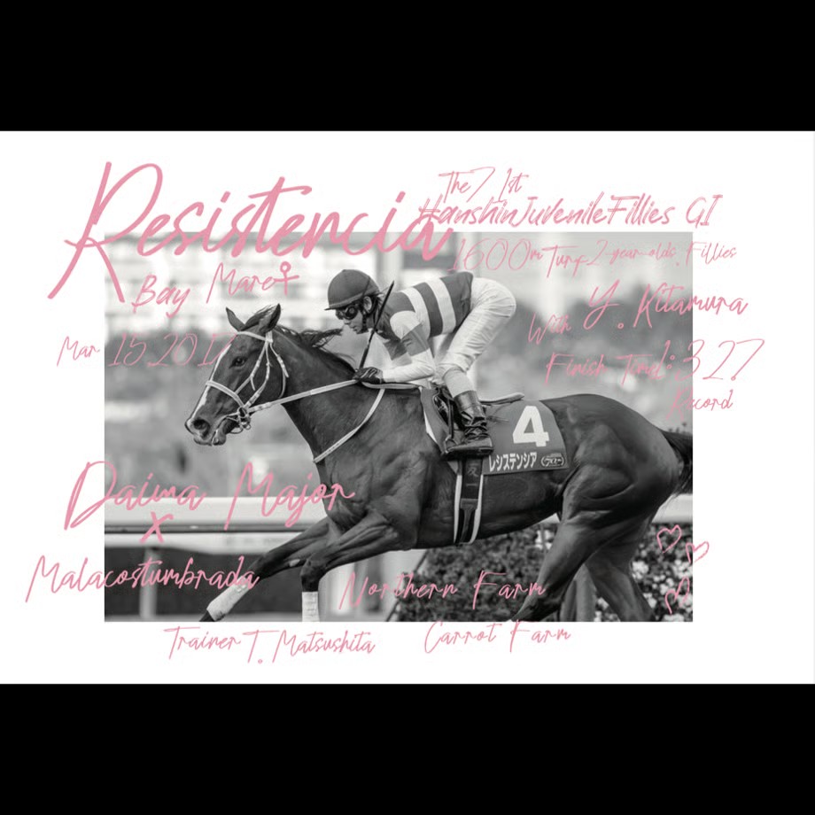 レシステンシア TシャツA 白 Lサイズ