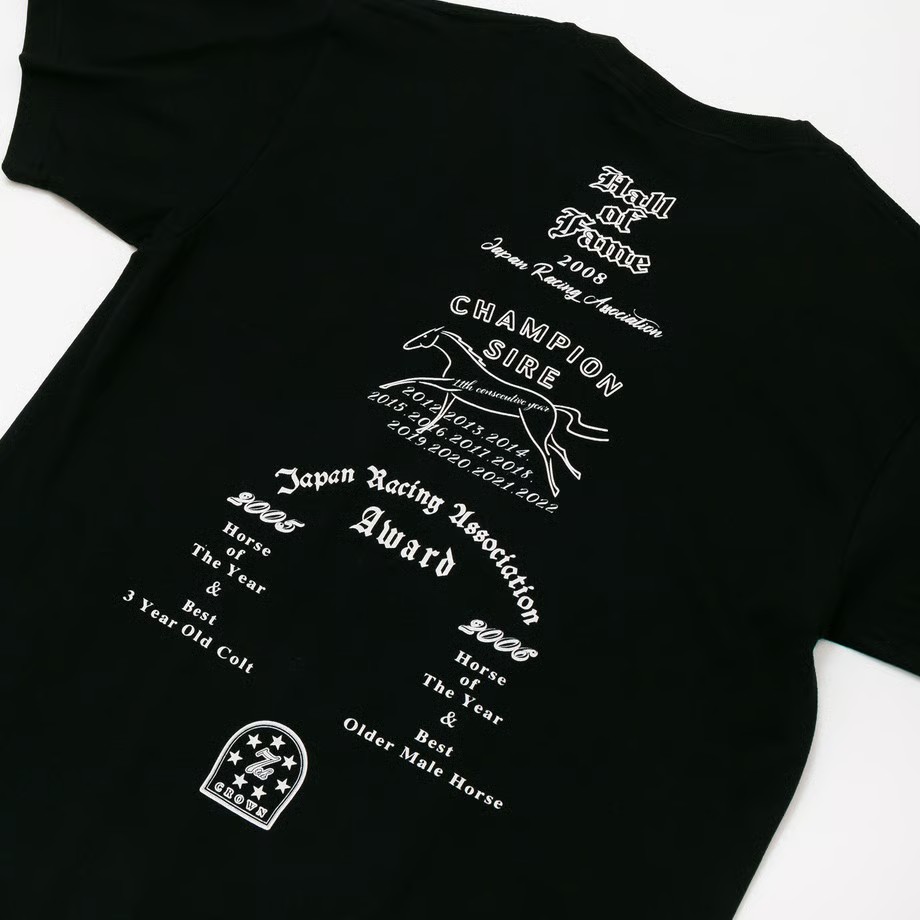 ディープインパクト TシャツA 黒 Lサイズ