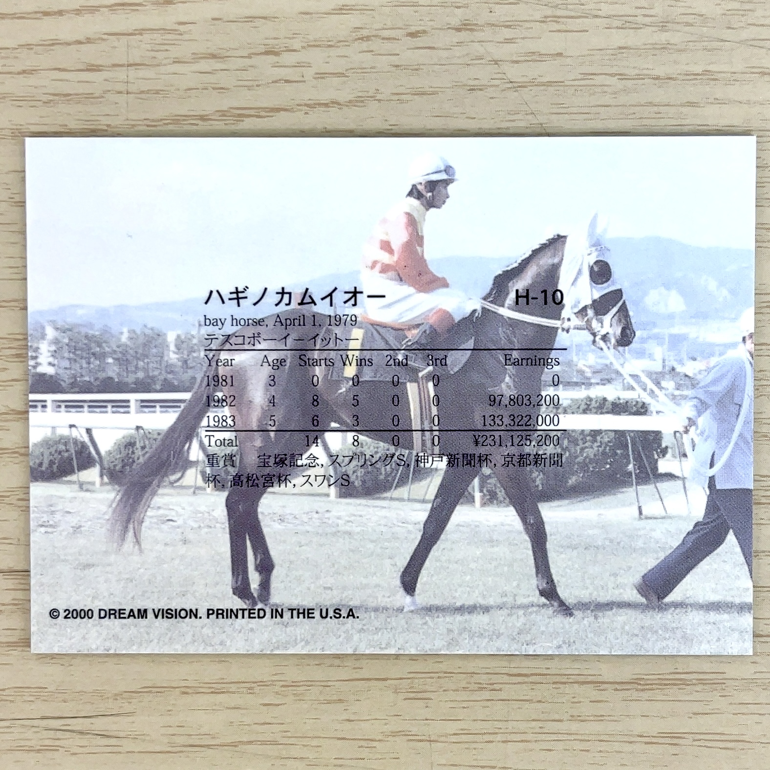 The Victory 2000 サンプルLegend H-10 ハギノカムイオー