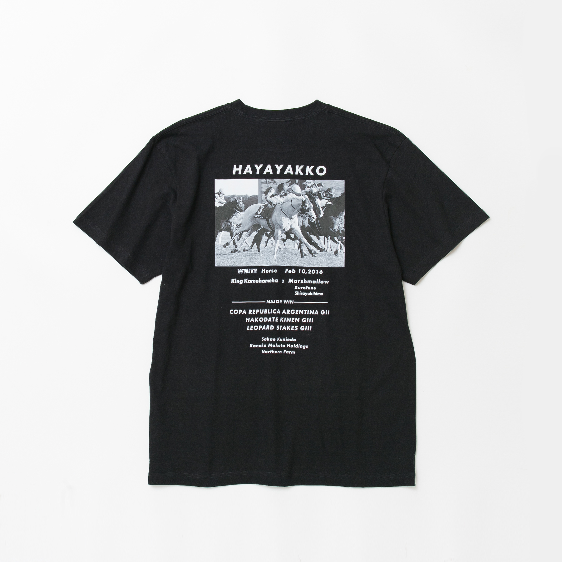 ハヤヤッコ TシャツC 黒 Lサイズ