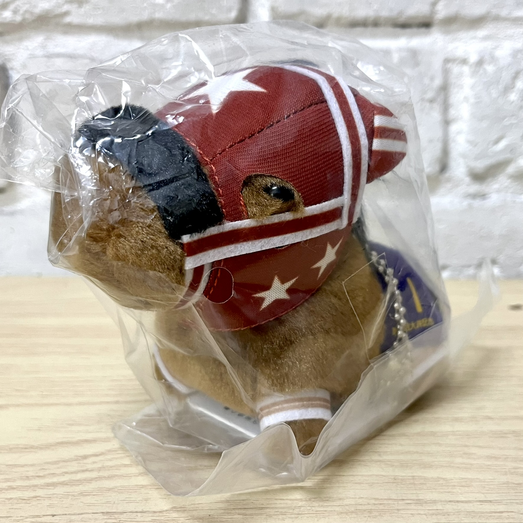 馬Site マスコット セイカメテオポリス 大井記念