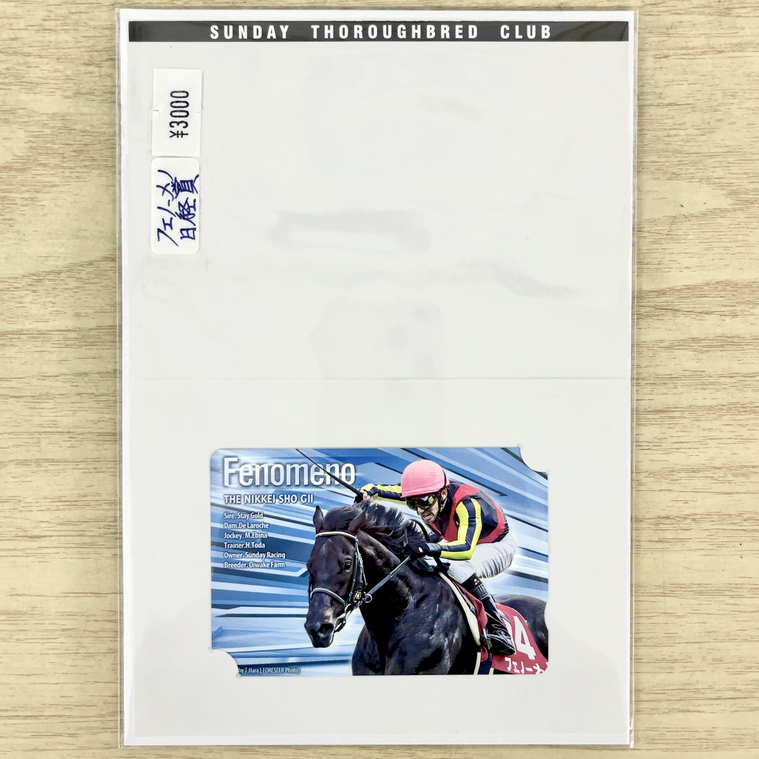 クオカード フェノーメノ 2013年 日経賞 GⅡ